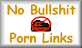 No Bullshit Porn